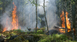 Erhöhte Waldbrandgefahr